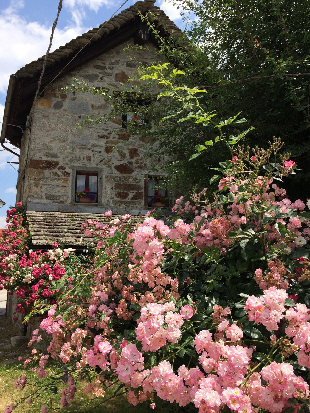 Appartamento Casa delle Rose Pestarena + giardino