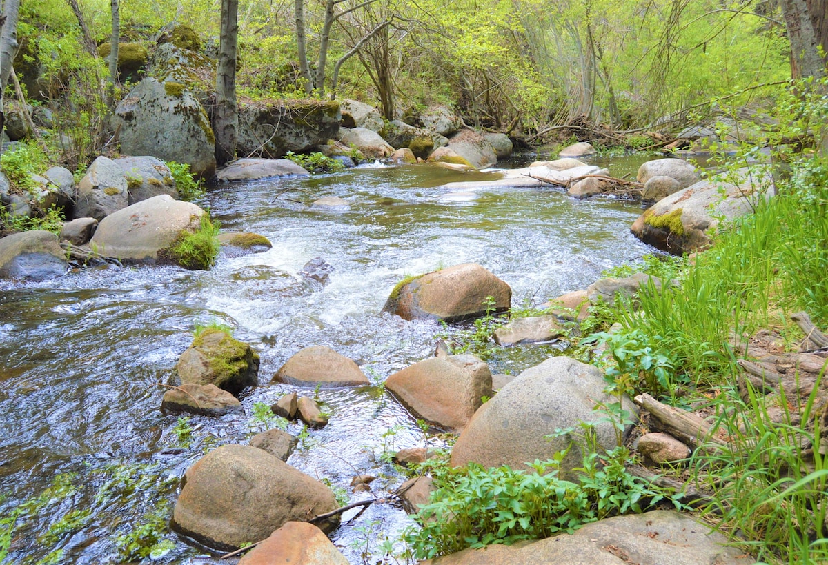 Trout River小木屋-僻静的河滨探险