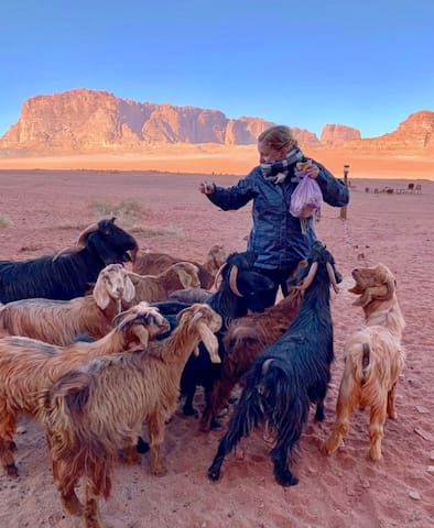 Wadi Rum Village的民宿