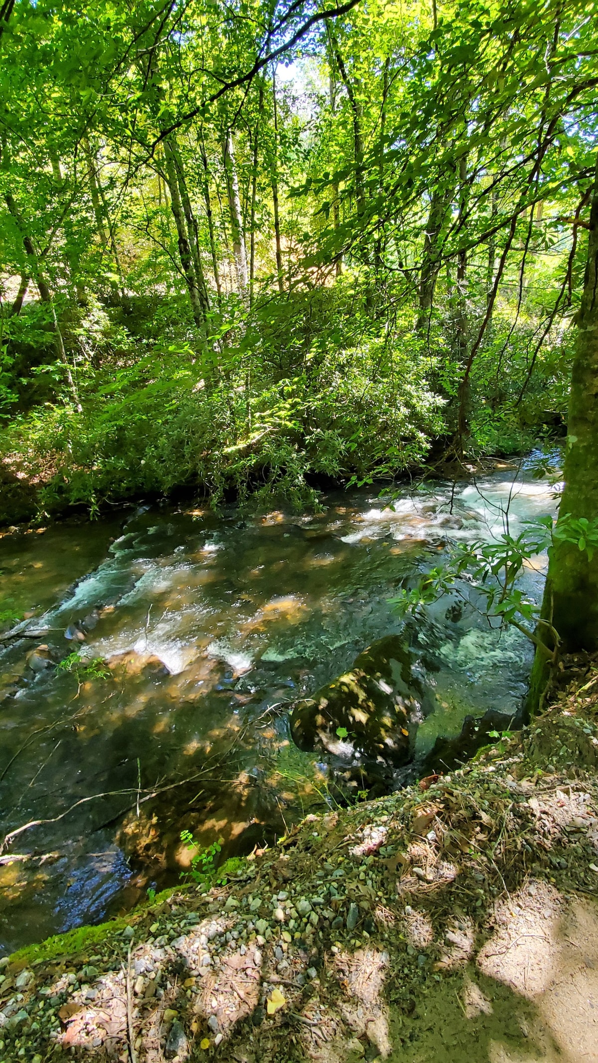 布莱森市阿拉卡溪（ Alarka Creek ）山间房源