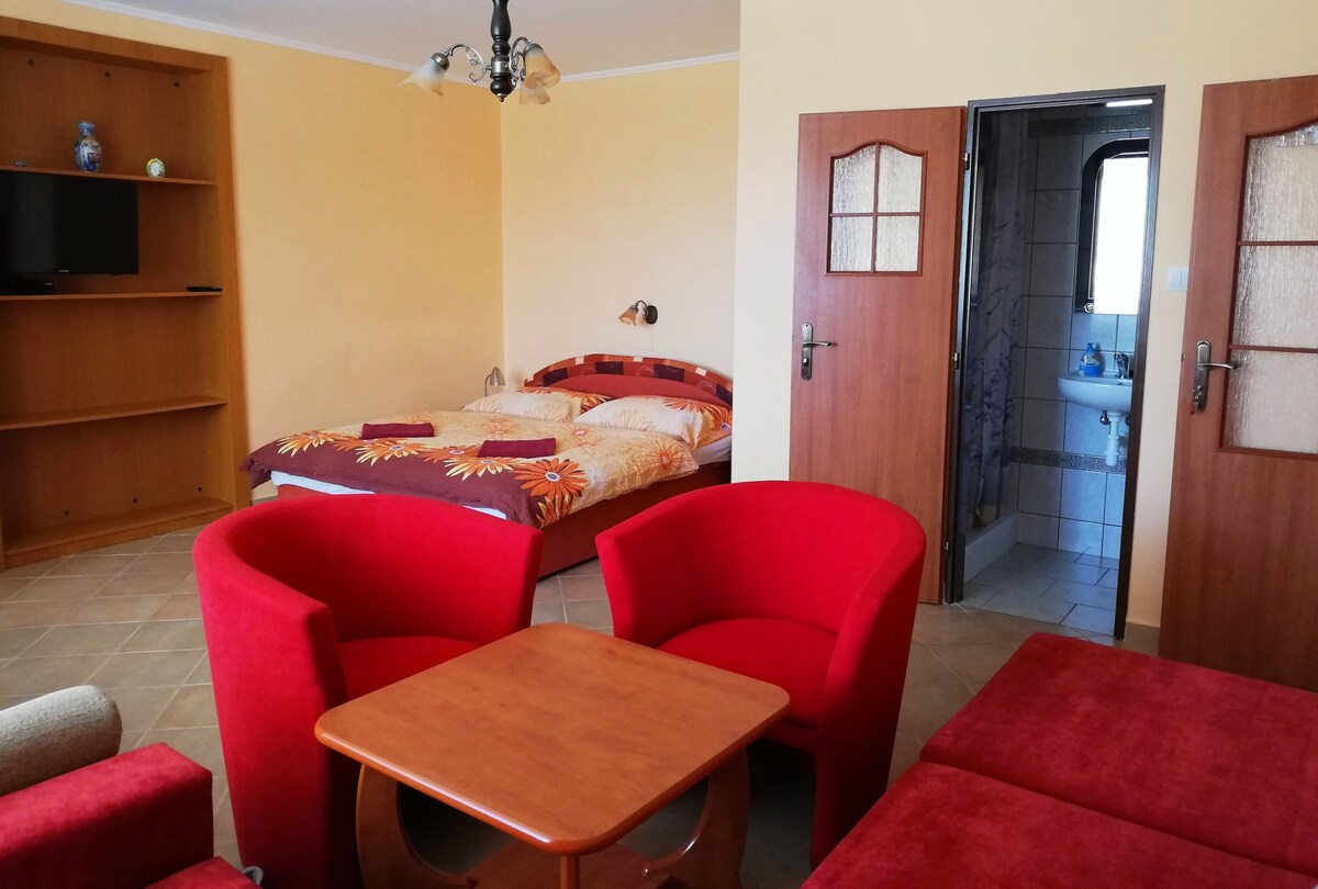 Comfortly furnished room-four beds, nice garden