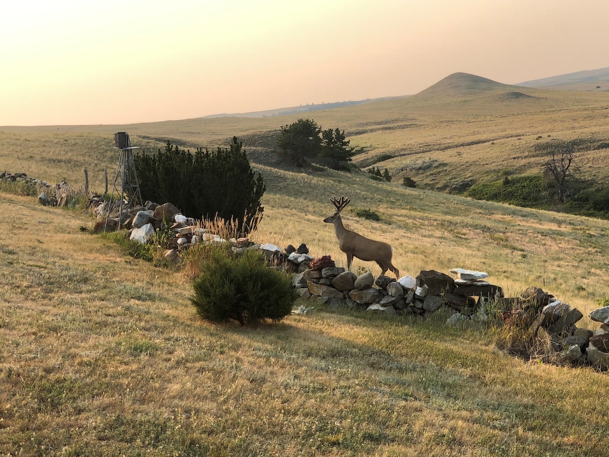The Shepherd's Retreat