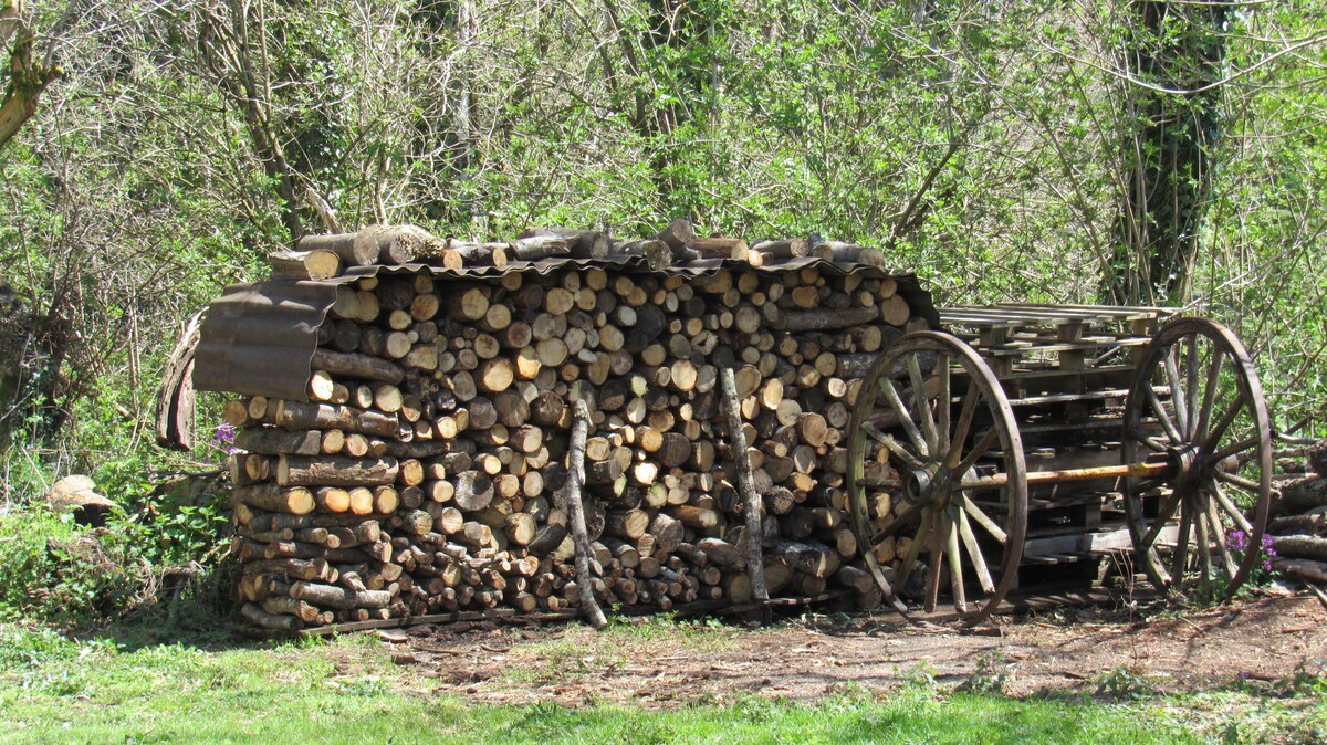 Lacombe maison dans les bois près des lacs