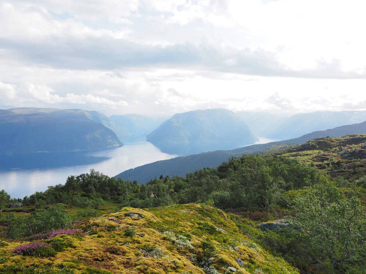 Hytte med flott utsikt ved Sognefjorden