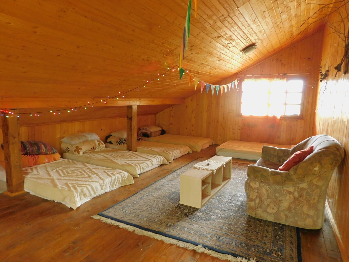 Pat la Mansarda, Hippie Cabin