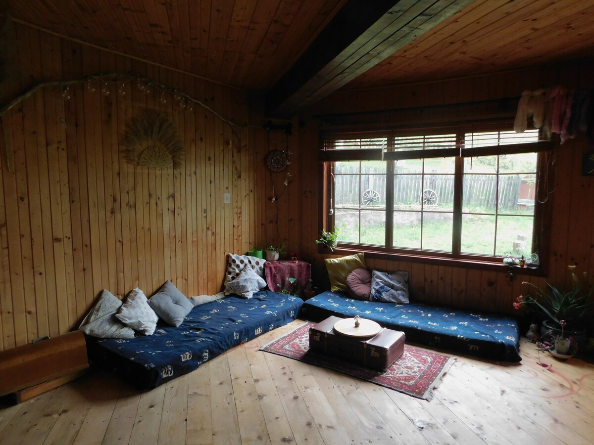 Pat la Mansarda, Hippie Cabin