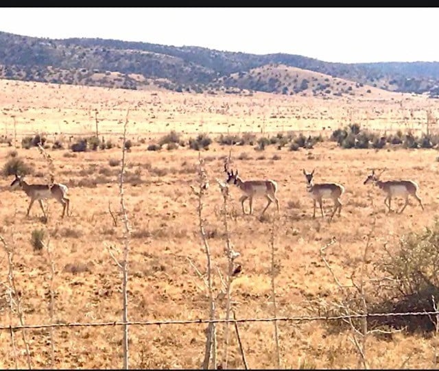 Culebra Trail @ R&S Co. Ranch