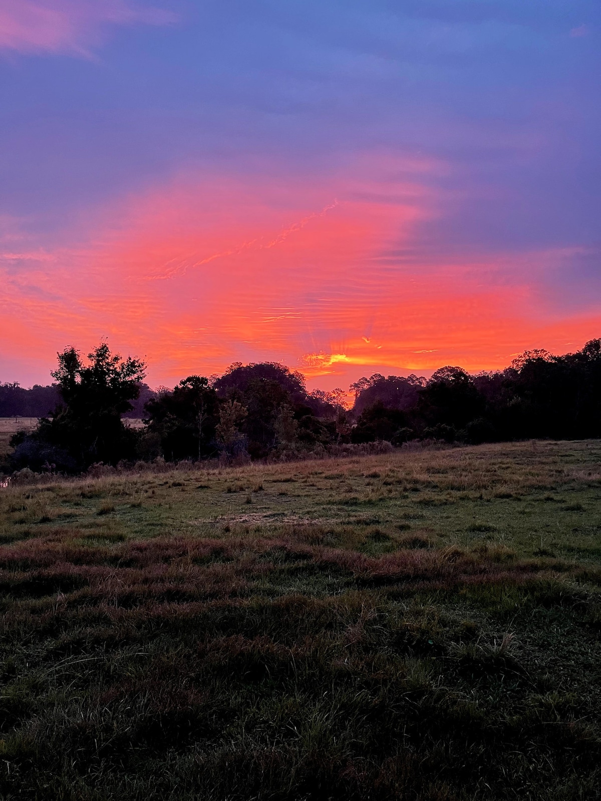 63 Acre Farmstay - A luxury farm experience