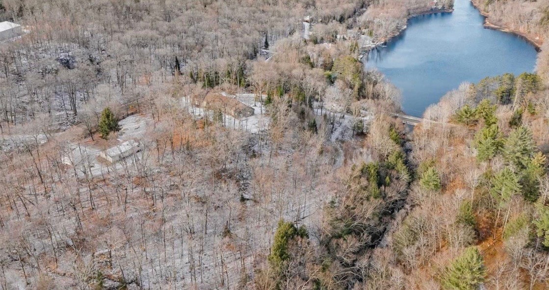 野生奢华的Muskoka度假木屋（热水浴缸！ ）