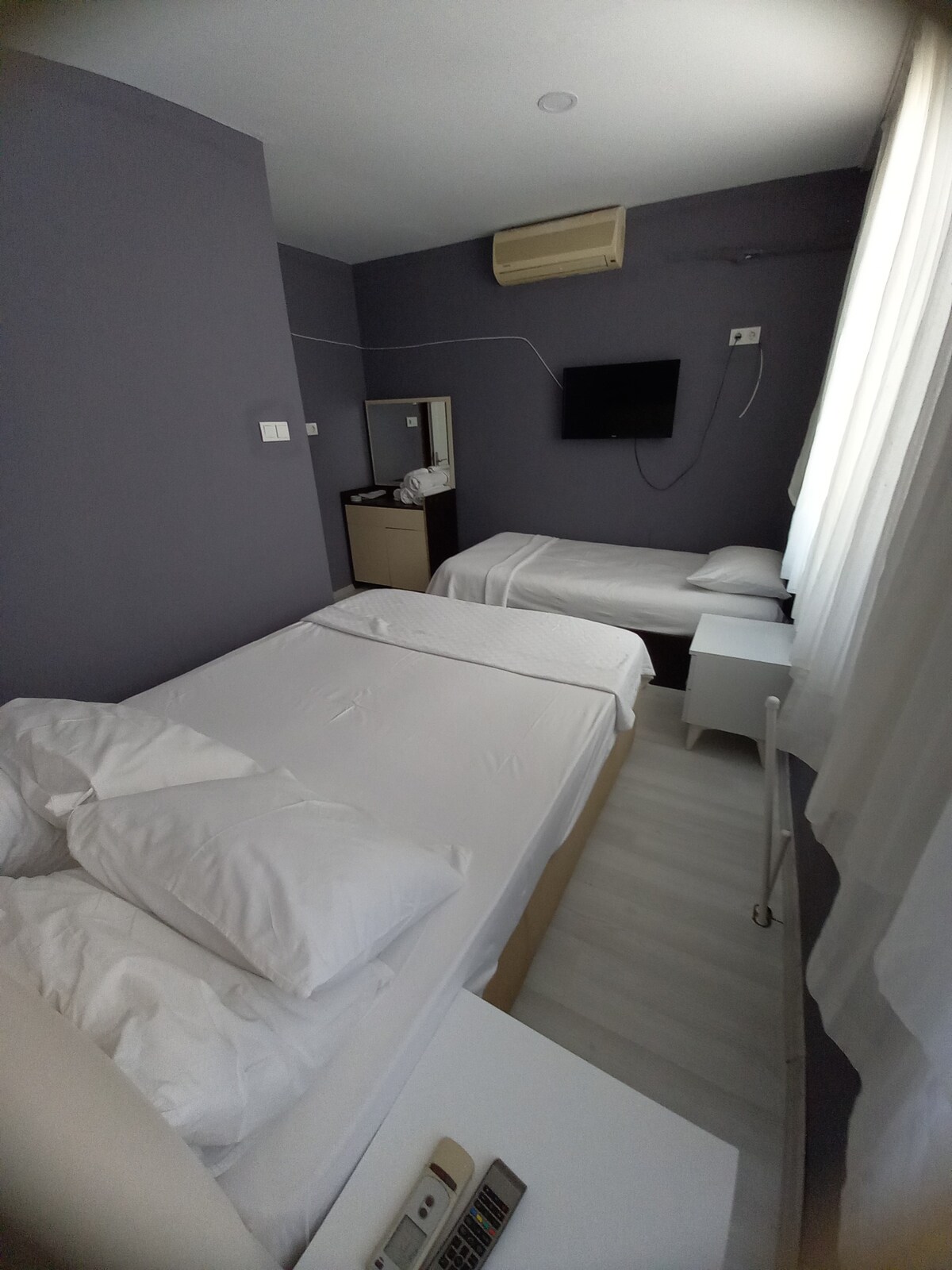 501房间1张双人床， 1张单人床