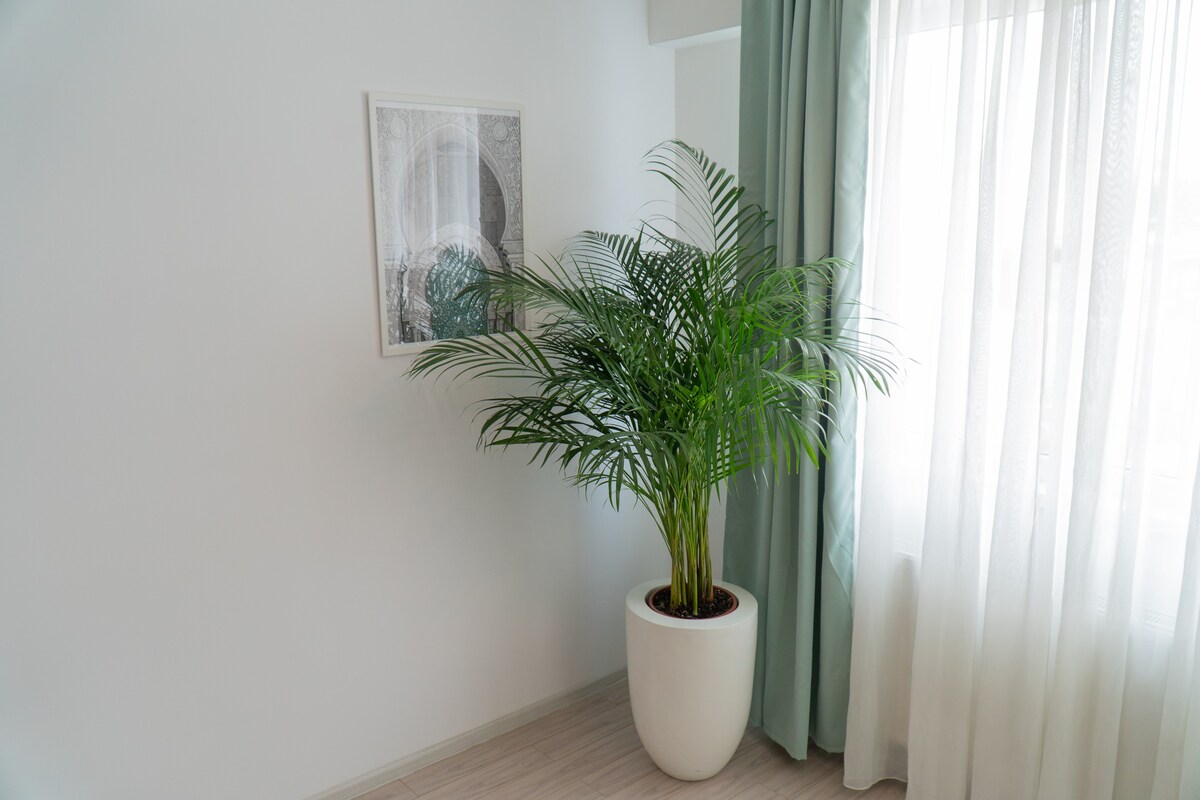 Matcha Apartment with Fireplace