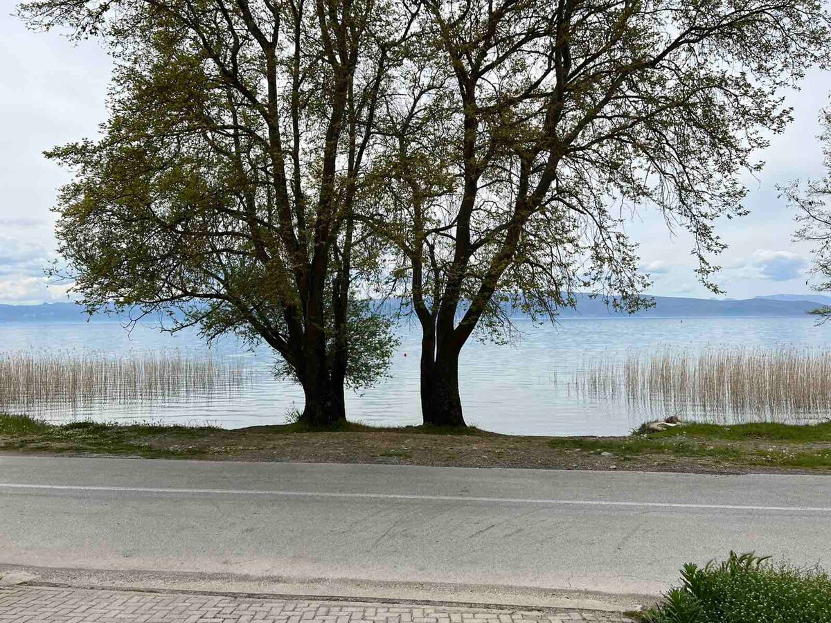 Lovely 1-bedroom apartment in Lagadin lake view