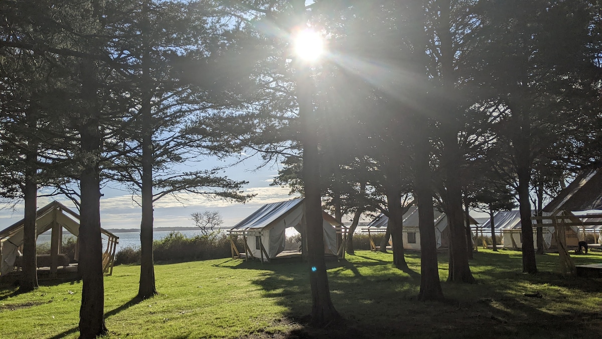 Safari Tent Glamping, S2-CedarPt, East Hampton, NY