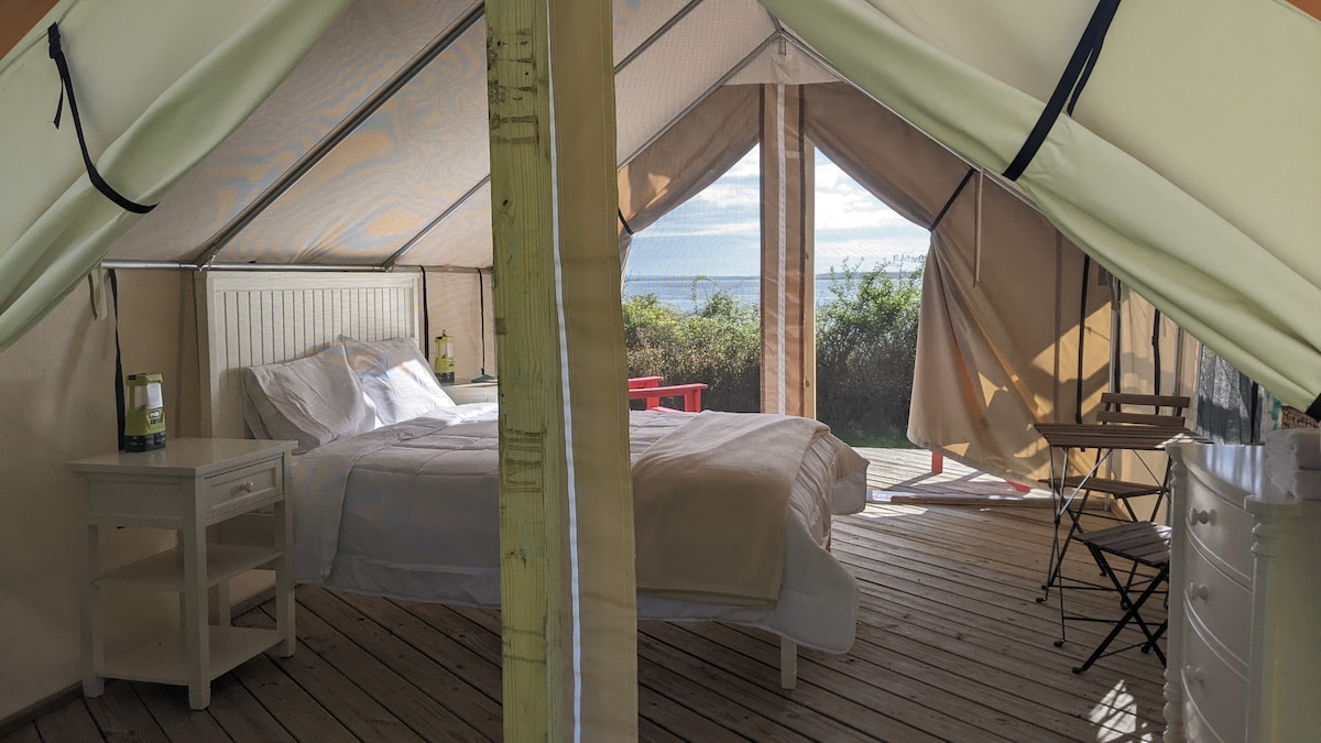 美国纽约州，东汉普顿， S5-CedarPt ， Safari Tent Glamping