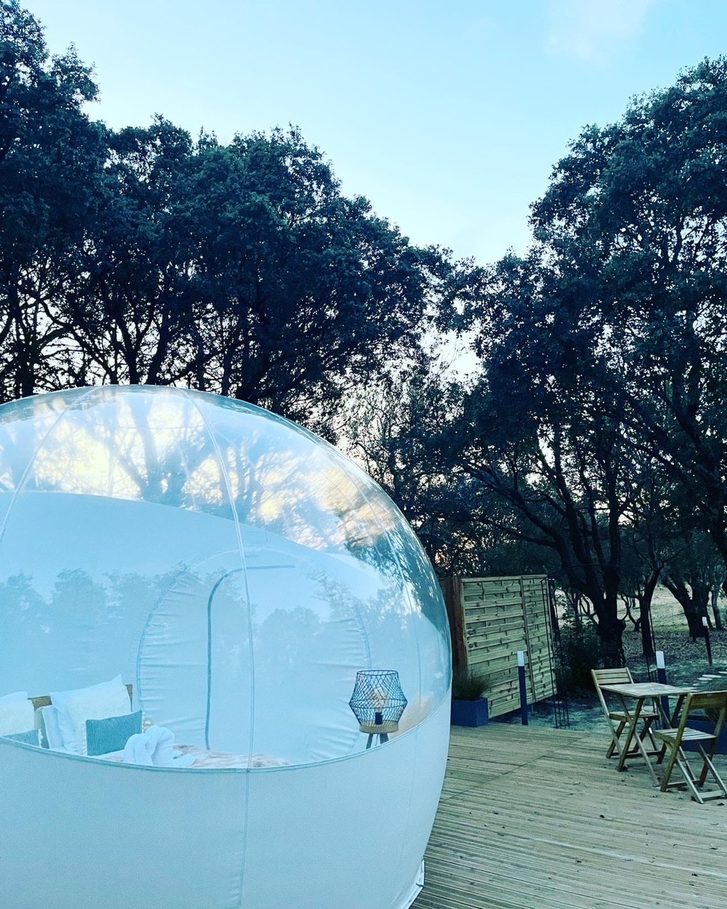 森林中心的气泡-仿真气泡