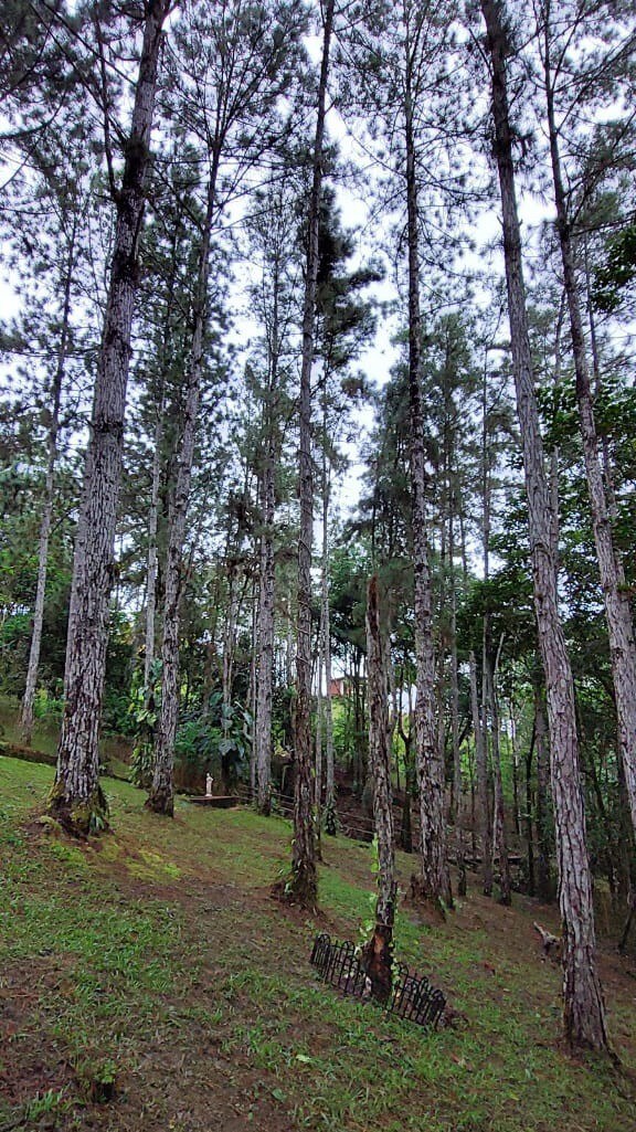 BatCor别墅，位于Altos de Cerro Azul