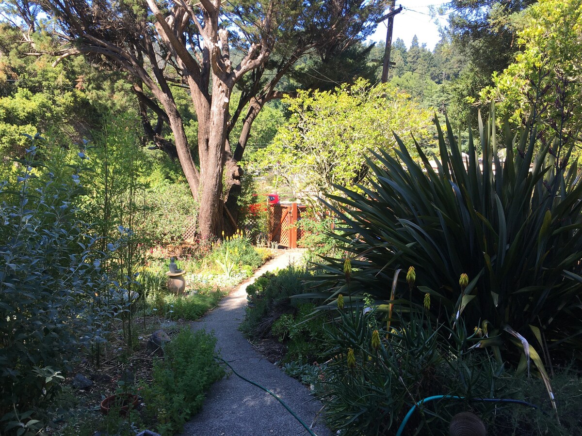 阳光明媚的花园小屋- 1卧室徒步天堂 ☀️