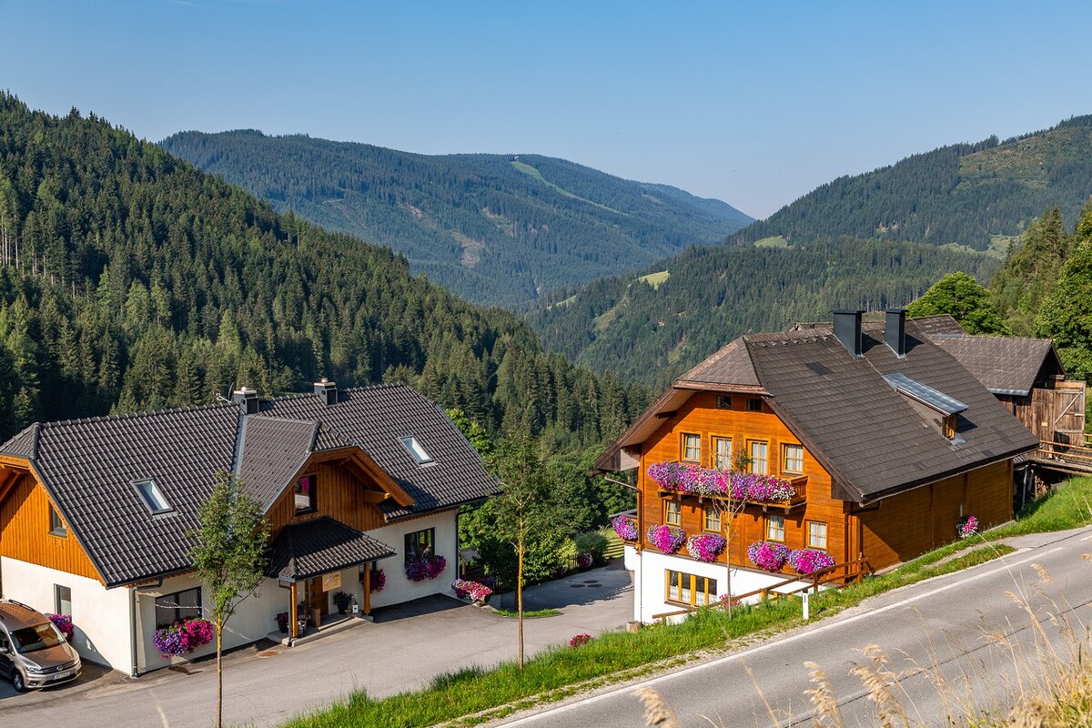 Ramsau am Dachstein的有机农场"Grundlehnerhof