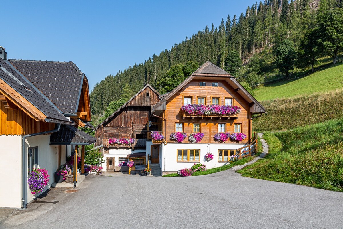 Ramsau am Dachstein的有机农场"Grundlehnerhof