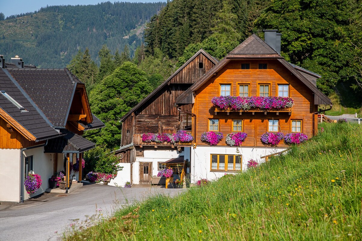 Ramsau am Dachstein的有机农场"Grundlehnerhof