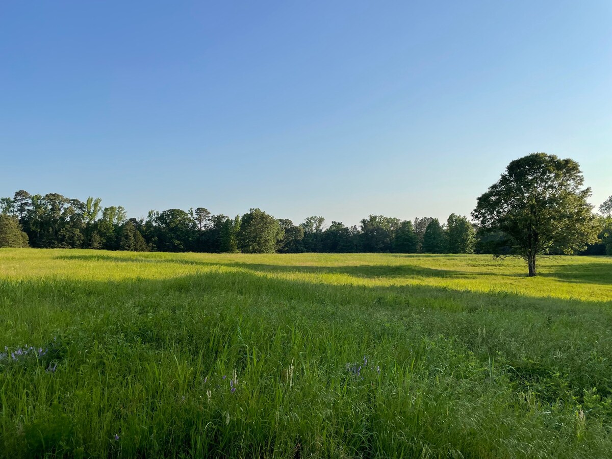 Peaceful nature camping at old farm near Minden.