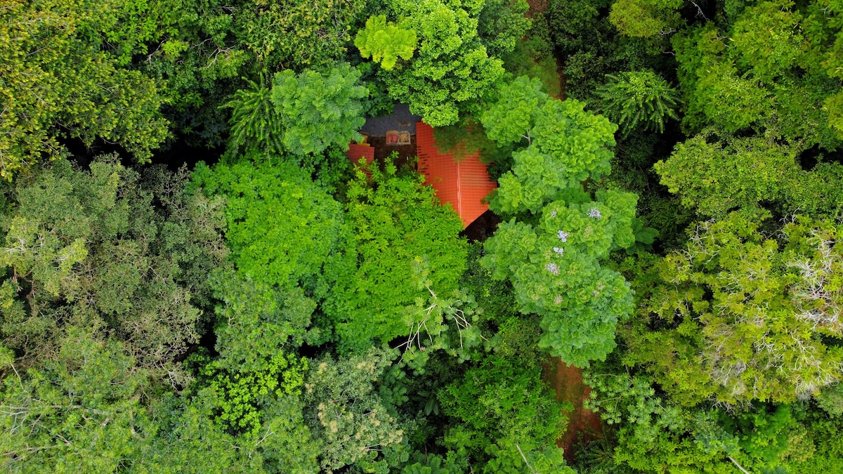 Immersed Wood Cabin in Nature's Reserve!