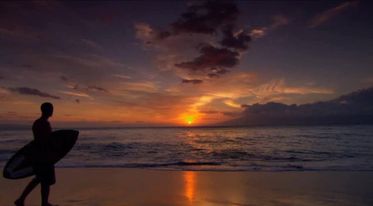 美景天堂：茂宜岛一居室天堂。