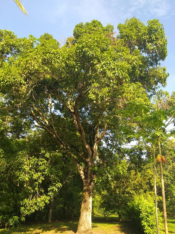 Hermosa Casa Quinta rodeada de naturaleza.