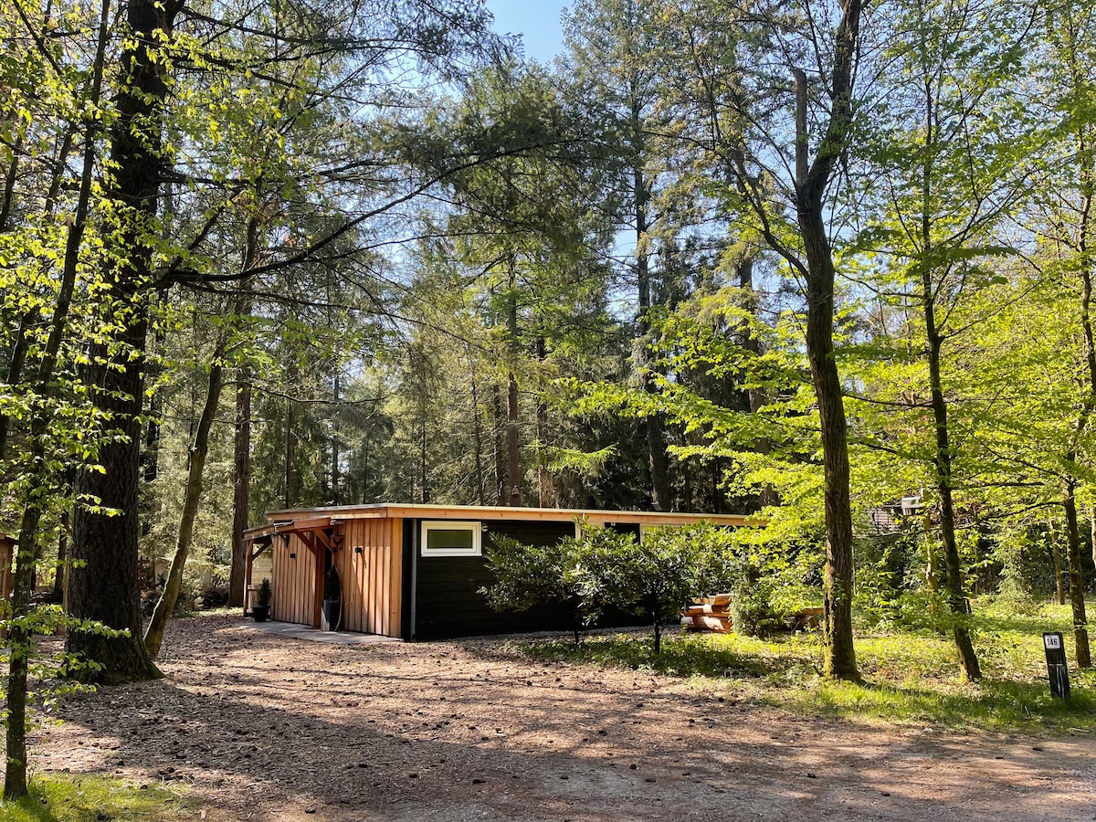 Luxe sfeervolle natuur lodge in de Veluwse bossen!