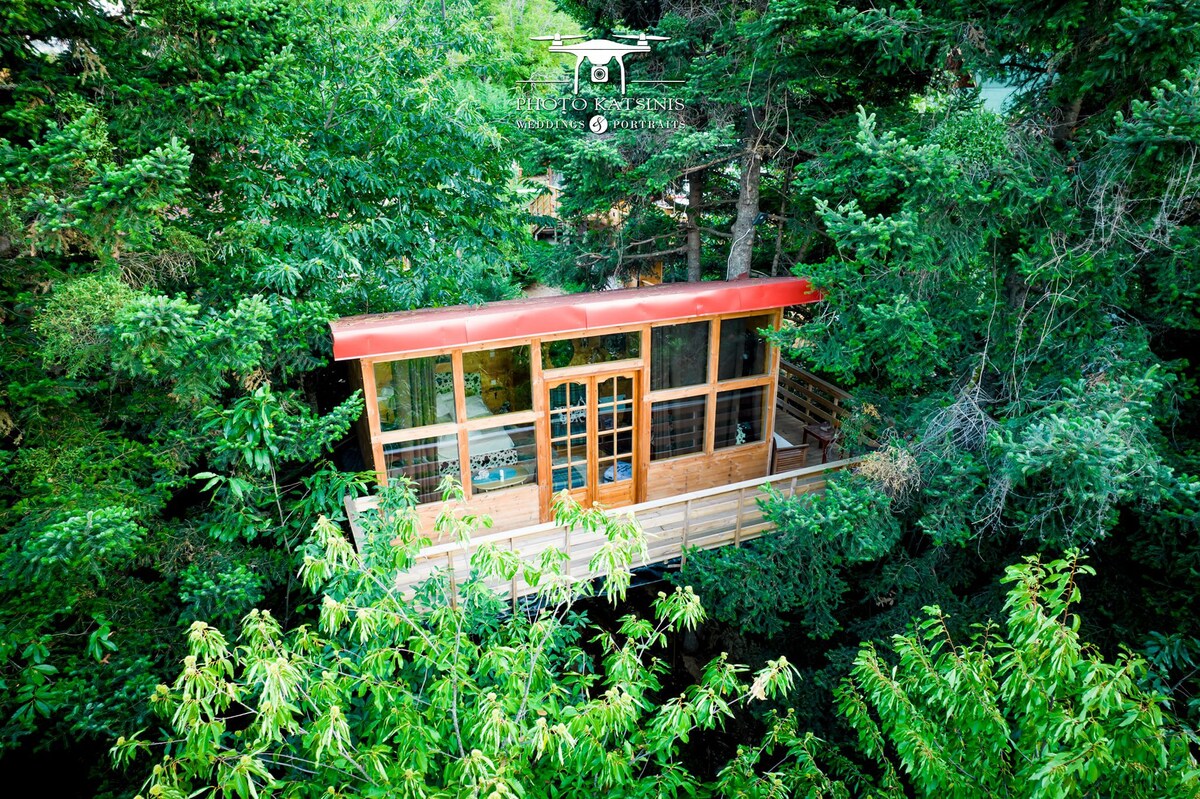 Tree House Chalet