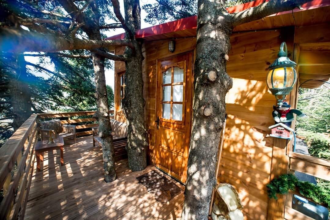 Tree House Chalet