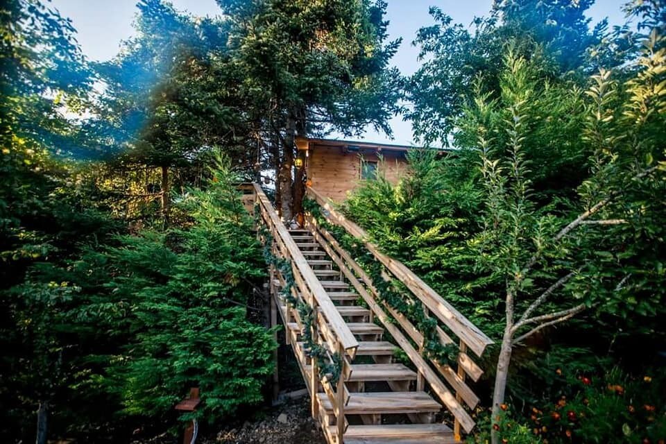 Tree House Chalet