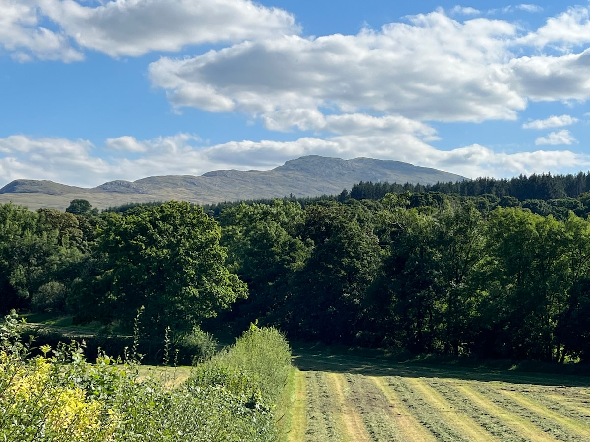 Deildre Bach - cosy rural Pod