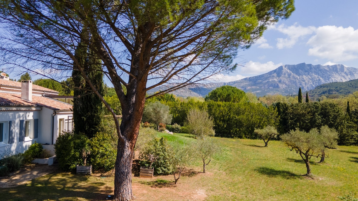 Villa avec piscine et vue sur la Sainte Victoire.