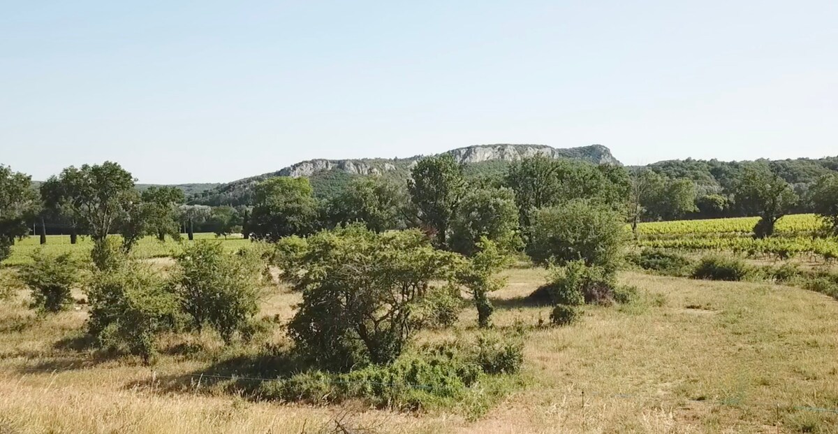 Les Oliviers Maison et Piscine privée vue nature