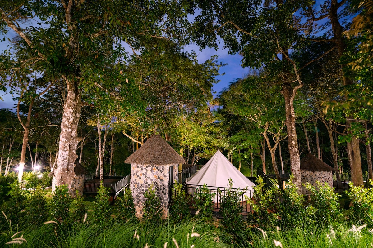 Delightful tent in tropical jungle