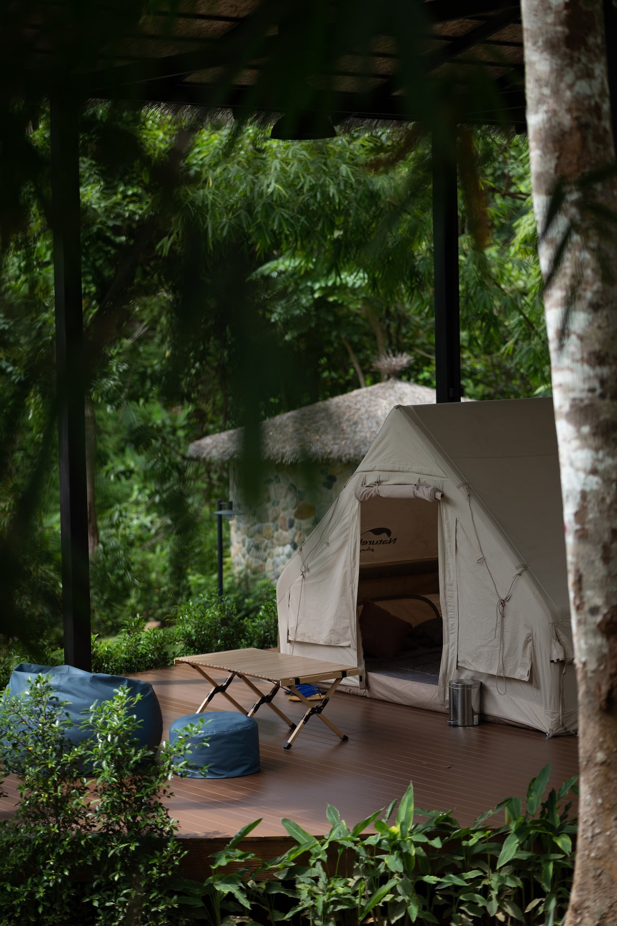 Delightful tent in tropical jungle