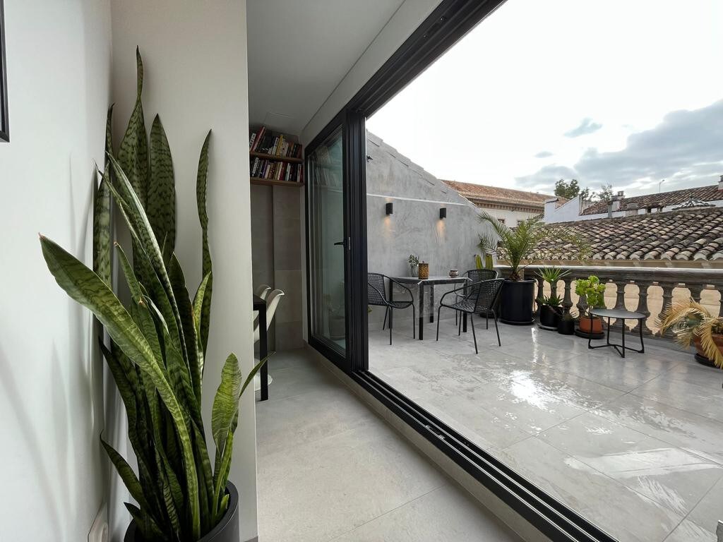 Penthouse with Private Terrace in Granada Centre
