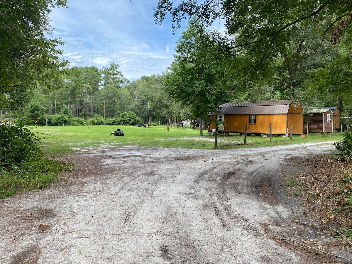 佛罗里达国家森林GA附近的小木屋和ATV步道！