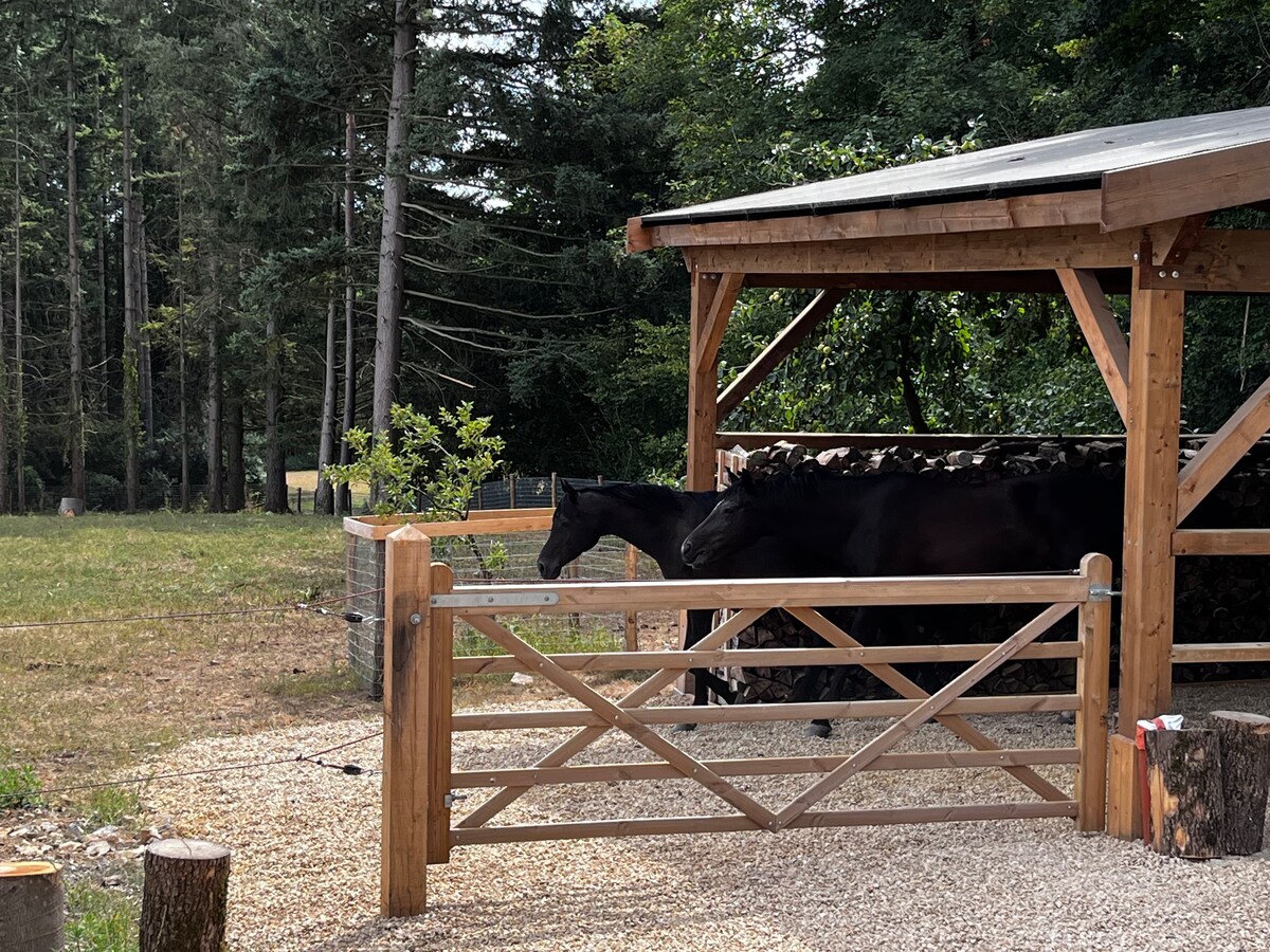 Ecolodge, avec bain nordique !