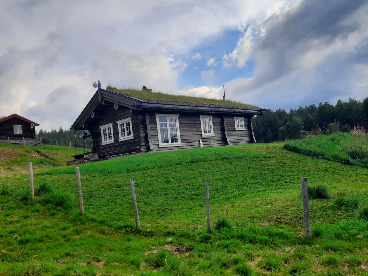 阿尔夫达尔韦斯特菲耶尔（ Alvdal Vestfjell ）美丽的Sølndalen座位