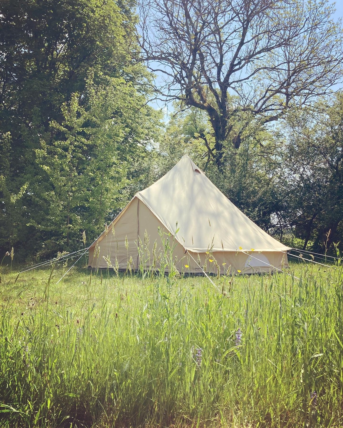 Heerlijke tent op groot groen terrein