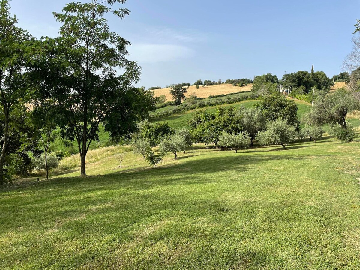 Traditional 3-bedroom cottage with large garden