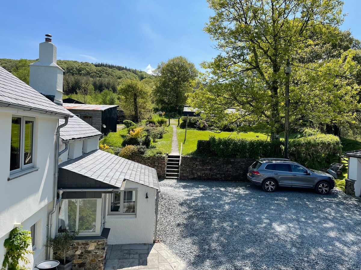 Idyllic Valley,  nr Brentor, Dartmoor.