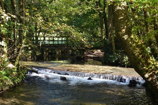 Idyllic Valley,  nr Brentor, Dartmoor.