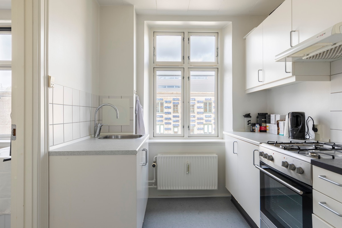 位于哥本哈根市中心的漂亮单卧室公寓。