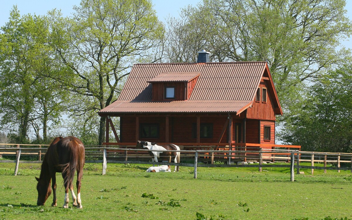 Gemütliches Ferien-Cottage in der Natur