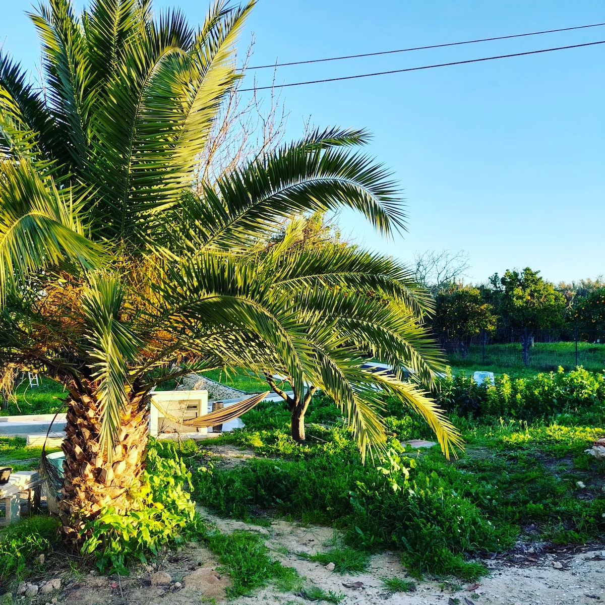 Casa de campo com piscina e horta biológica