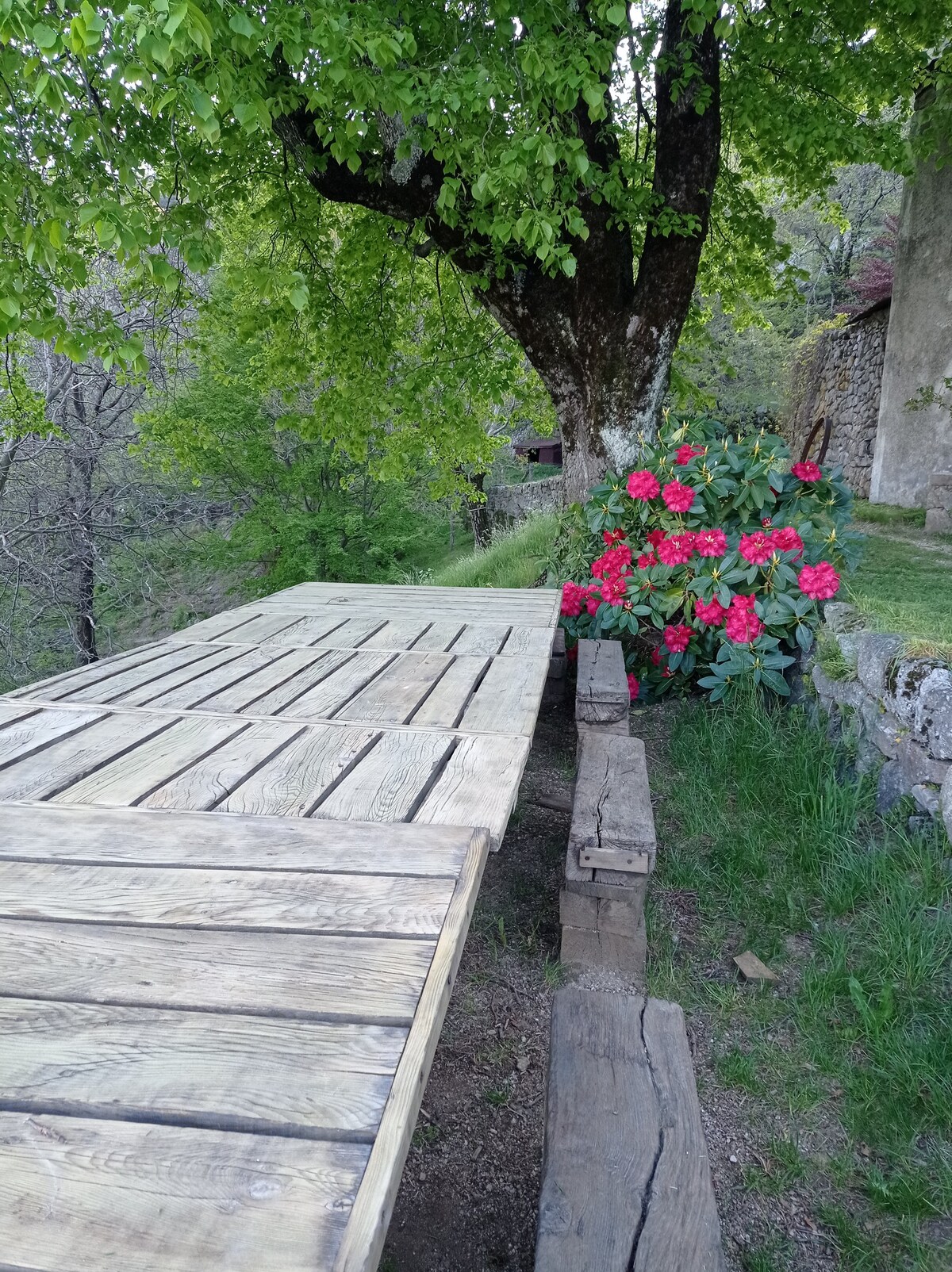 Agréable chambre d'hôtes avec vue splendide