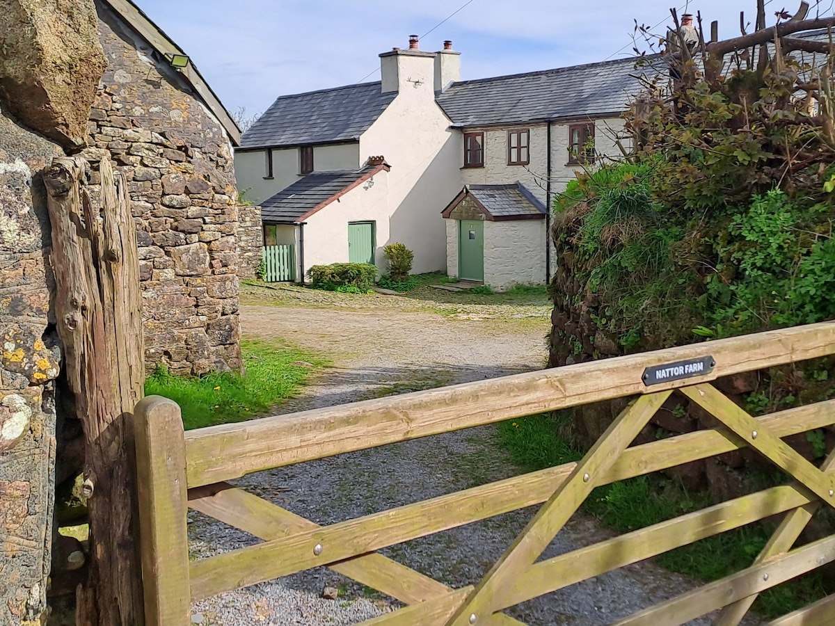 位于达特穆尔国家公园（ Dartmoor National Park ）的远程舒适小屋